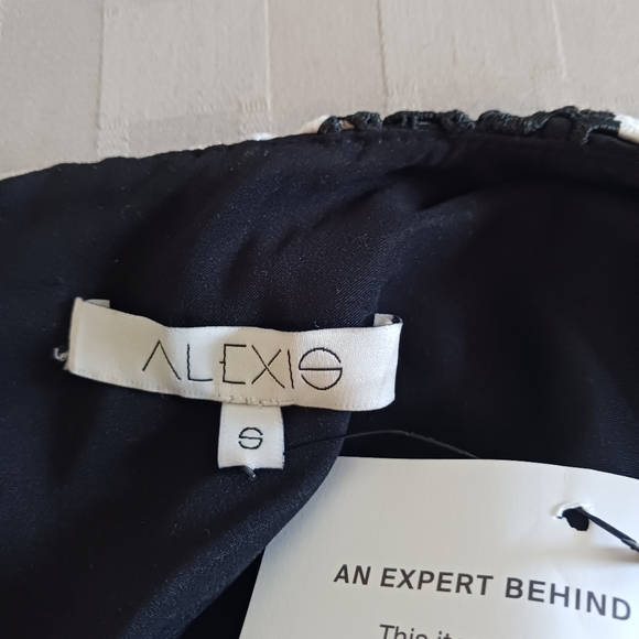 Alexis Amir Striped Crochet Pleated Dress - Picture 10 of 15